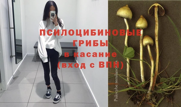 ешки Баксан