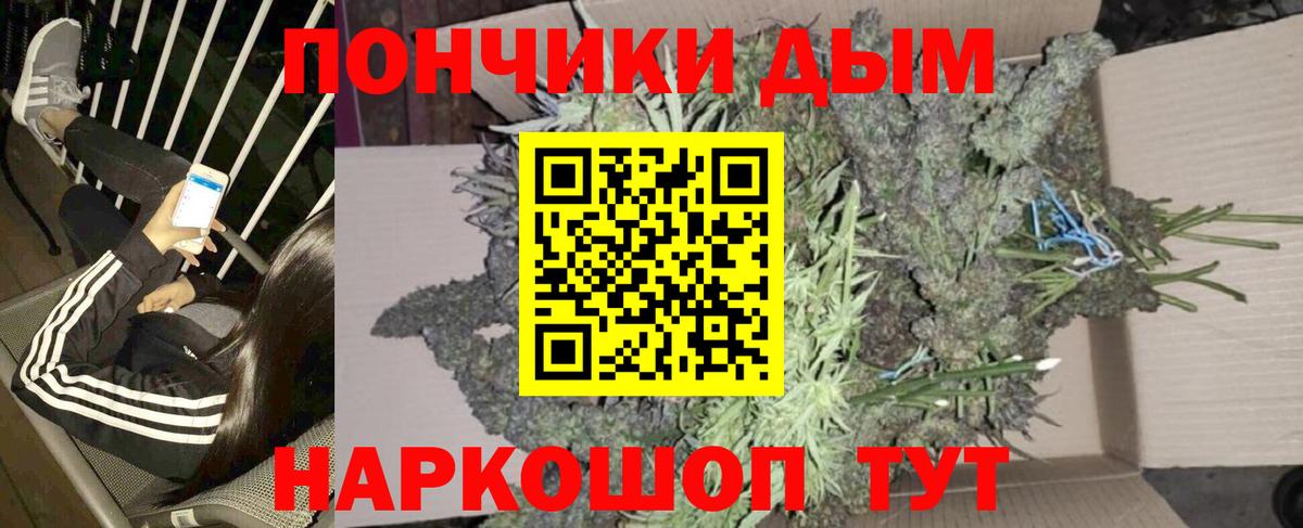 Бошки Шишки Amnesia Семилуки